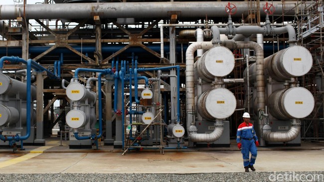 Pemerintah Uji Coba B30 Hari Ini