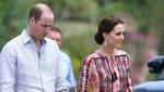 Momen William dan Kate Bersama Anak Gajah dan Badak di India