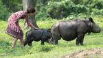 Momen William dan Kate Bersama Anak Gajah dan Badak di India