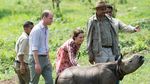 Momen William dan Kate Bersama Anak Gajah dan Badak di India