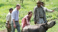 William dan Kate terlihat antusias. Arthur Edwards - Pool/Getty Images/detikFoto.