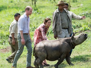 Badak Mati Ditembak di Taman Kaziranga India Usai Kunjungan William-Kate