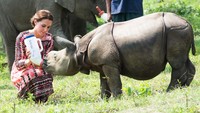 Selain anak gajah, Kate juga memberi susu pada anak badak. Arthur Edwards - Pool/Getty Images/detikFoto.