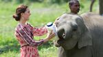 Momen William dan Kate Bersama Anak Gajah dan Badak di India