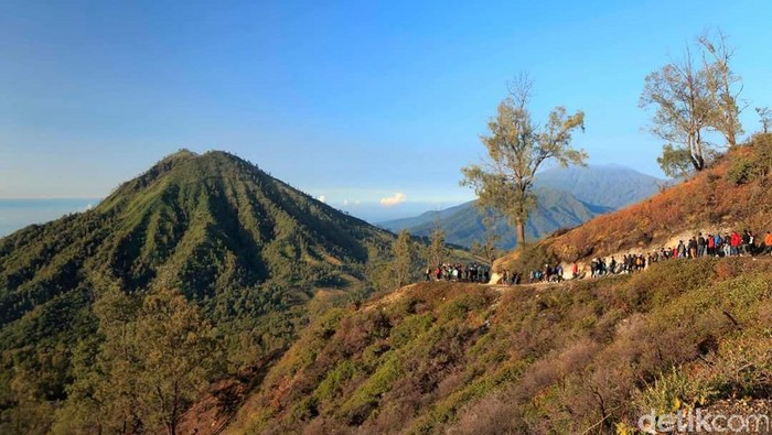 Hasil Survei LSI: Ini Alasan Warga Bangga akan Citra Diri Banyuwangi