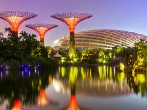 Wisata Flora dan Fauna yang Nyaman di Singapura