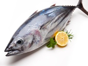 Asupan Tinggi Protein Seperti Ini Bisa Bikin Kenyang Lebih Lama