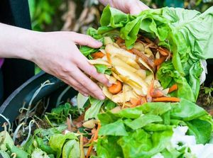 Keren! Pasangan Ini Sajikan Makanan dari Limbah di Pesta Pernikahan Mereka