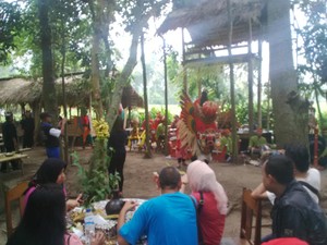 Wisata Budaya Berbalut Nuansa Alam Banyuwangi, Desa Kemiren Tempatnya!