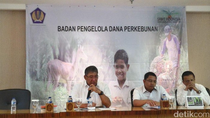Beli Biodiesel ke Pertamina, PLN Disubsidi Rp 5.000/Liter
