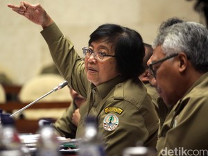 KLHK: Kerja Sama dengan APRIL Group dalam Pengelolaan TNZ Dibatalkan
