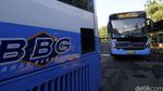 TransJ Luncurkan 600 Bus Baru