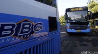 Tidak hanya itu, sebagian dari bus juga akan diperuntukkan bagi TransJabodetabek.