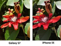 Adu Kamera iPhone SE vs Galaxy S7