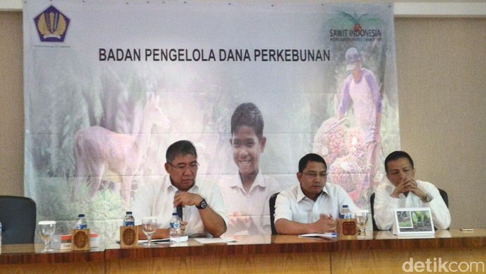 Dana Celengan Sawit Terkumpul Rp 2,8 Triliun Dalam 3 Bulan