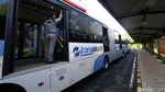 TransJ Luncurkan 600 Bus Baru