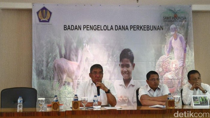 Konsumsi Biodiesel Domestik Ditarget 2,7 Juta Kiloliter Tahun Ini