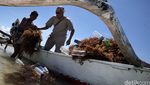 Dodol dan Kerupuk Ini Terbuat dari Rumput Laut
