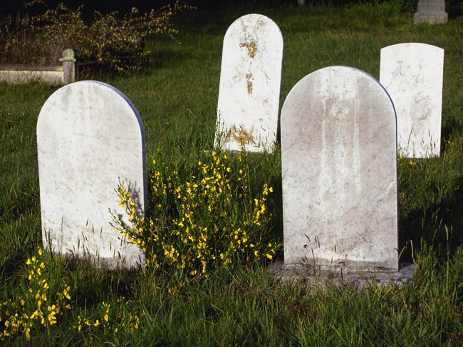 10 Penyebab Kematian Terbesar di Dunia (2)