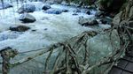 Potret Jembatan Akar Berusia 100 Tahun di Painan, Pesisir Selatan