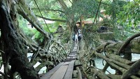 Jembatan akar merupakan objek wisata alam di Kecamatan Bayang Utara. Dari kota Painan, bisa ditempuh dengan perjalanan darat selama 30 menit (Randy/detikTravel)