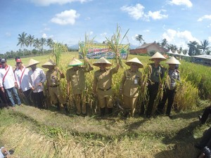 Beras Organik Banyuwangi Tembus Pasar AS dan Qatar
