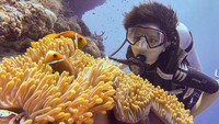 Salah satu spot diving di Maladewa adalah di Pulau Maafushi. Laut yang jernih, anemon dan ikan yang sehat, indah banget! (Endi Hamid/dTraveler)