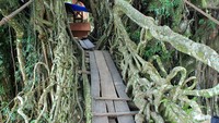 Demi keberlangsungan jembatan akar tersebut, pihak pemda setempat juga telah memperkuat jembatan dengan memasangkan tali besi. Di musim hujan, tali tersebut juga dipergunakan untuk mengangkat jembatan agar tidak terkena derasnya aliran Sungai Bayang (Randy/detikTravel)