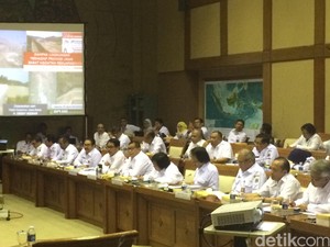 Rapat Soal Reklamasi Jakarta Tak Dihadiri Ahok, Komisi VII DPR Protes