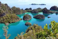 Painemo, salah satu keindahan dari Raja Ampat (Johanes Randy/detikTravel)