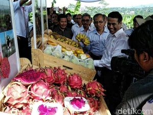 Rektor IPB: Presiden Jokowi Beri Sinyal Dukungan ke Buah Lokal