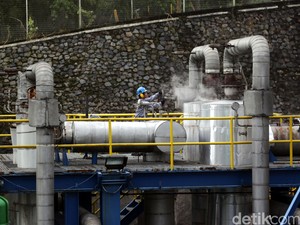PLTP Gunung Salak Mulai Kembangkan Aset Karbon
