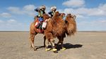 Potret Kemeriahan Festival Unta Terbesar di Mongolia