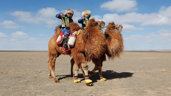 Festival Unta Mongolia merupakan festival tahunan yang sudah menjadi tradisi bagi warga lokal Mongolia. Ribuan orang berbondong-bondong berpartisipasi dalam festival ini (B. Rentsendorj/Reuters)