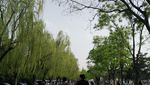 Begini Megahnya Isi National Museum Beijing
