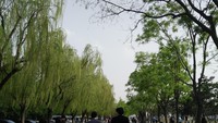 Foto: Oh iya jangan lupa, bagi yang berkunjung di bulan April atau saat musim panas, disarankan membawa payung untuk melindungi diri dari sengatan matahari (Dewi/detikTravel)