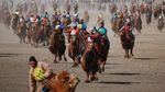 Potret Kemeriahan Festival Unta Terbesar di Mongolia