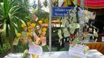 Jejak Bhiksu Sakti di Vihara Wat Pha Kho, Thailand