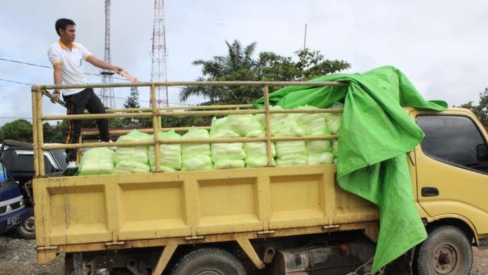 Nasib Miris Petani Tebu di Tengah Upaya Pemerintah Tekan Harga Gula