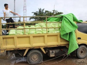 Nasib Miris Petani Tebu di Tengah Upaya Pemerintah Tekan Harga Gula