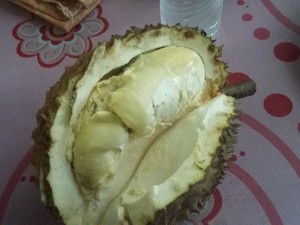 Perhatian! Ada Durian Enak di Rinjani