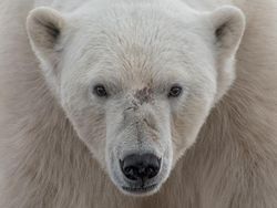 Jepretan Memukau Kontestan NatGeo Traveller