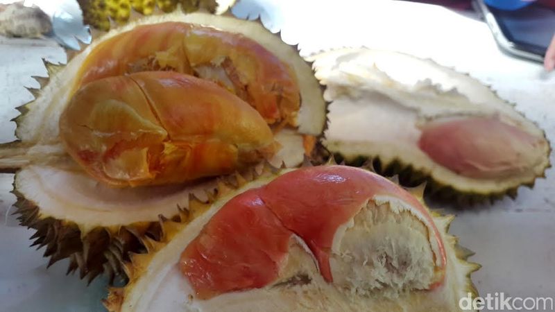 Durian merah
