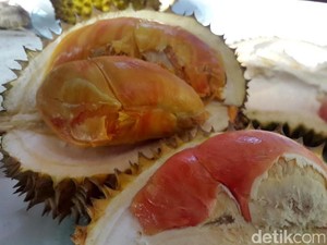 Pertama di Indonesia! Durian Merah Banyuwangi Raih Indikasi Geografis