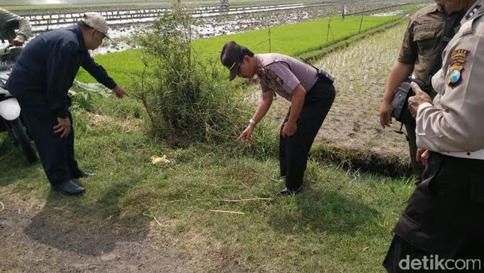 Motor Dirampas, Kemaluan Karyawan Pabrik Kertas Dipotong Begal