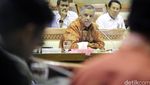 Dirut PLN Rapat Dengan Komisi VI