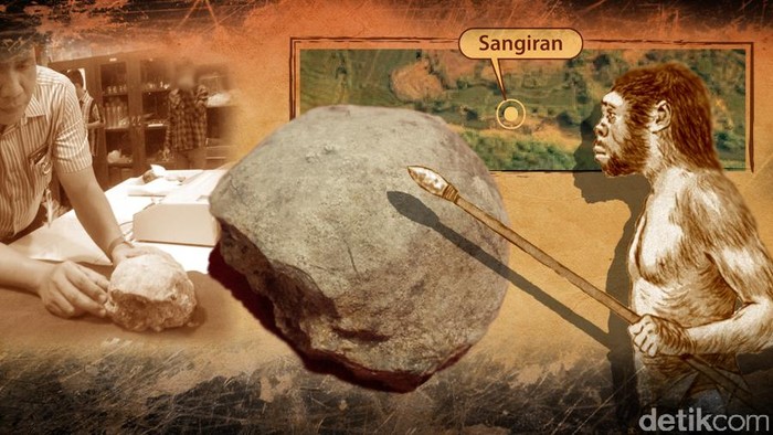 (tidak untuk insert) Fokus Manusia Purba Sangiran