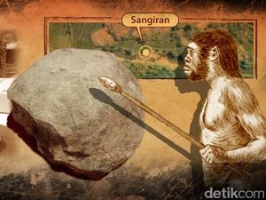Ini Manusia Purba Tertua di Indonesia, Fisiknya Besar dan Hidup Nomaden