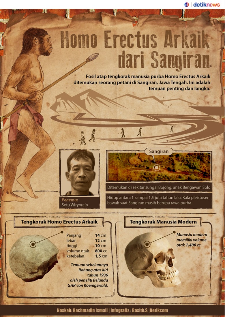 Fosil Homo Erectus Arkaik Temuan Baru Dan Penting Dari Sangiran