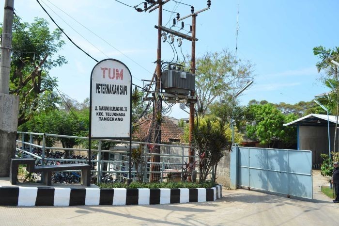 Eksportir Australia Tanggapi Keputusan KPPU Terkait Kartel Sapi